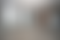 Описание изображения