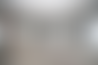 Описание изображения