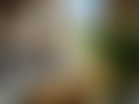 Описание изображения