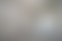 Описание изображения