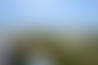 Описание изображения