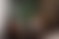 Описание изображения