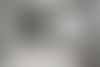 Описание изображения