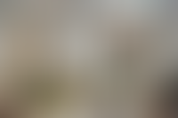 Описание изображения