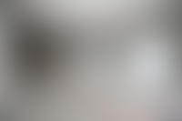 Описание изображения