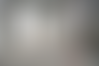 Описание изображения