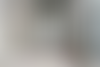 Описание изображения