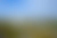 Описание изображения