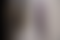 Описание изображения