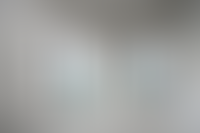 Описание изображения