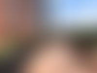 Описание изображения