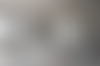 Описание изображения