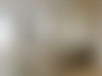 Описание изображения