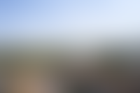 Описание изображения