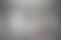 Описание изображения