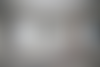 Описание изображения