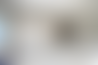 Описание изображения