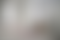 Описание изображения