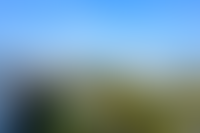 Описание изображения