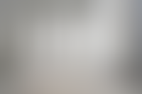 Описание изображения