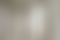 Описание изображения