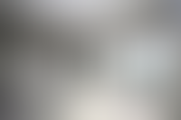 Описание изображения