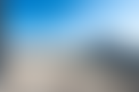 Описание изображения