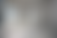 Описание изображения