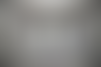 Описание изображения