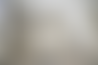 Описание изображения