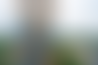 Описание изображения