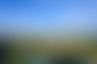 Описание изображения