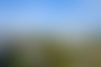 Описание изображения