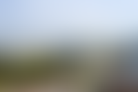 Описание изображения