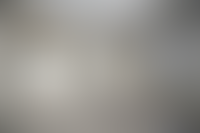 Описание изображения