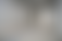 Описание изображения