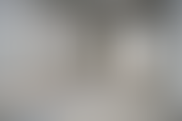 Описание изображения