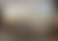 Описание изображения