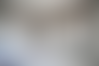 Описание изображения