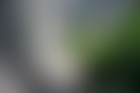 Описание изображения