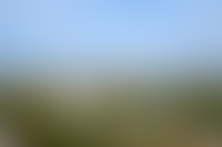 Описание изображения