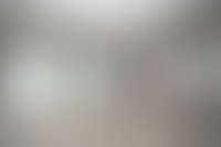 Описание изображения