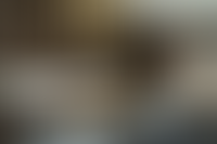 Описание изображения