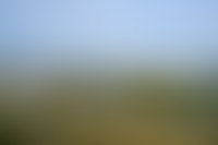 Описание изображения