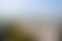 Описание изображения