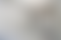 Описание изображения