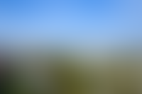 Описание изображения