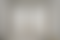 Описание изображения