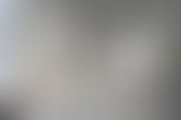 Описание изображения