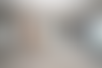 Описание изображения